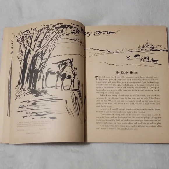 Anna Sewell's Black Beauty - Picture 6 of 9